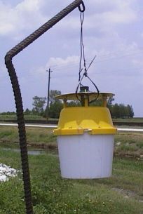 ptrap1.jpg